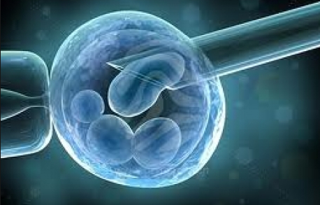 Reino Unido da vía libre a la manipulación genética de embriones humanos